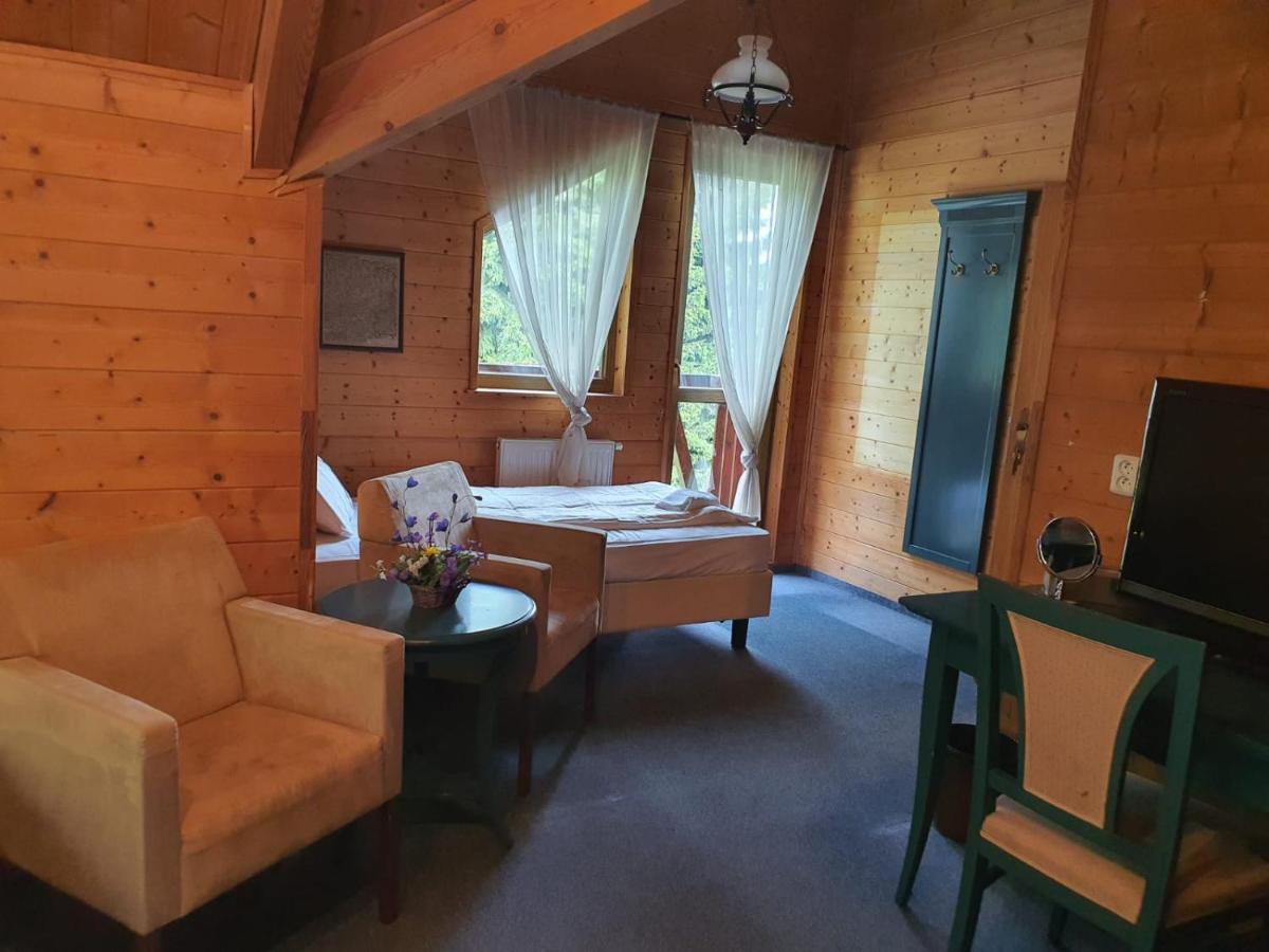 Hotel Pam Jáchymov Rum bild
